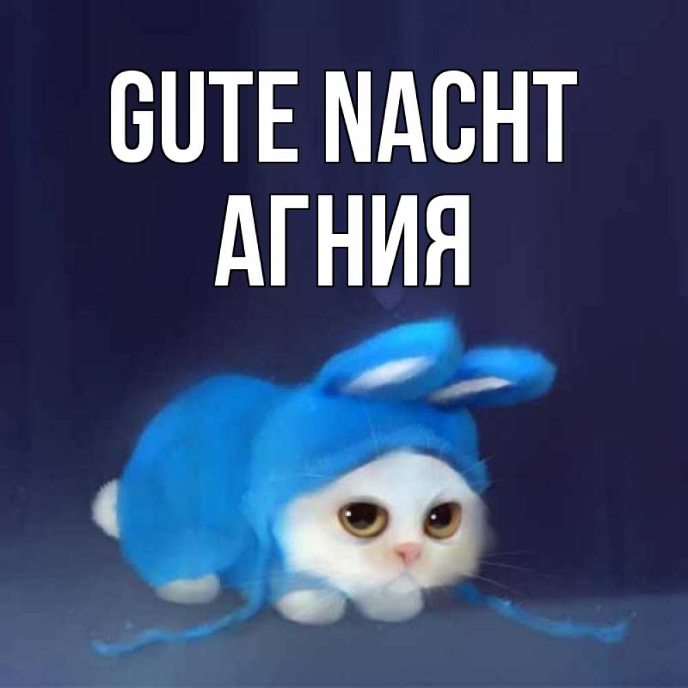 Открытка на каждый день с именем, Агния Gute Nacht кот в голубом костюме кролика с ушками Прикольная открытка с пожеланием онлайн скачать бесплатно 