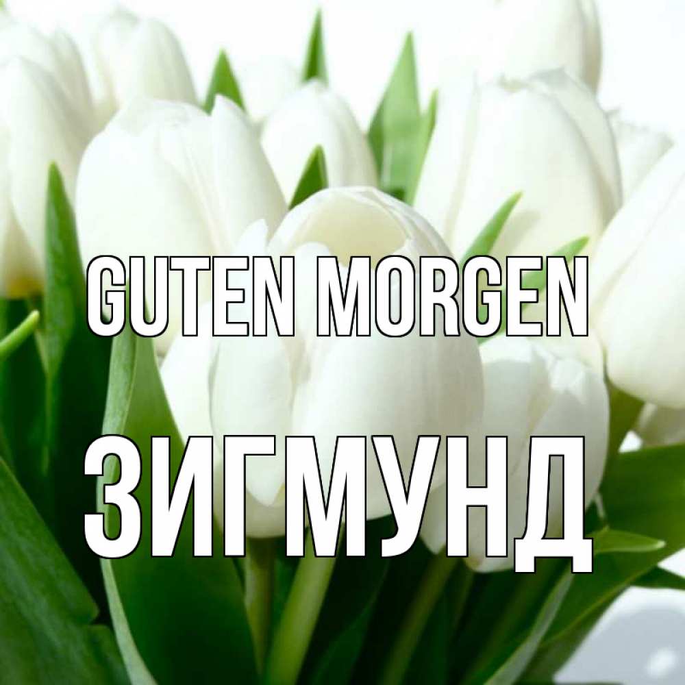 Открытка на каждый день с именем, Зигмунд Guten Morgen открытки на каждый день по именам Прикольная открытка с пожеланием онлайн скачать бесплатно 