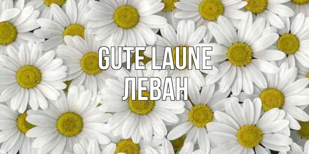 Открытка на каждый день с именем, Леван Gute Laune поляна ромашек Прикольная открытка с пожеланием онлайн скачать бесплатно 
