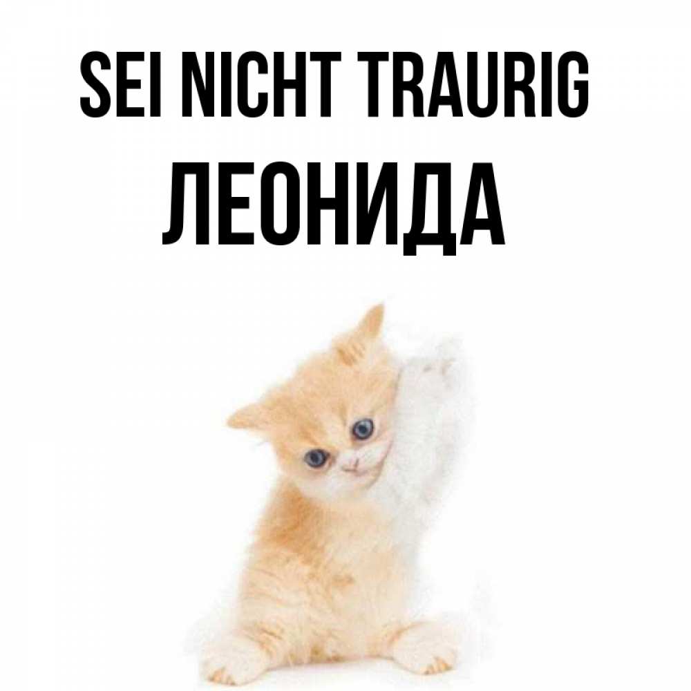 Открытка на каждый день с именем, Леонида Sei nicht traurig просящий кот Прикольная открытка с пожеланием онлайн скачать бесплатно 