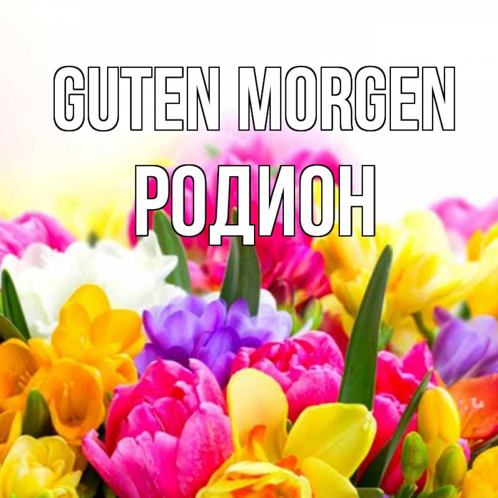 Открытка на каждый день с именем, Родион Guten Morgen создать открытку со свое подписью Прикольная открытка с пожеланием онлайн скачать бесплатно 