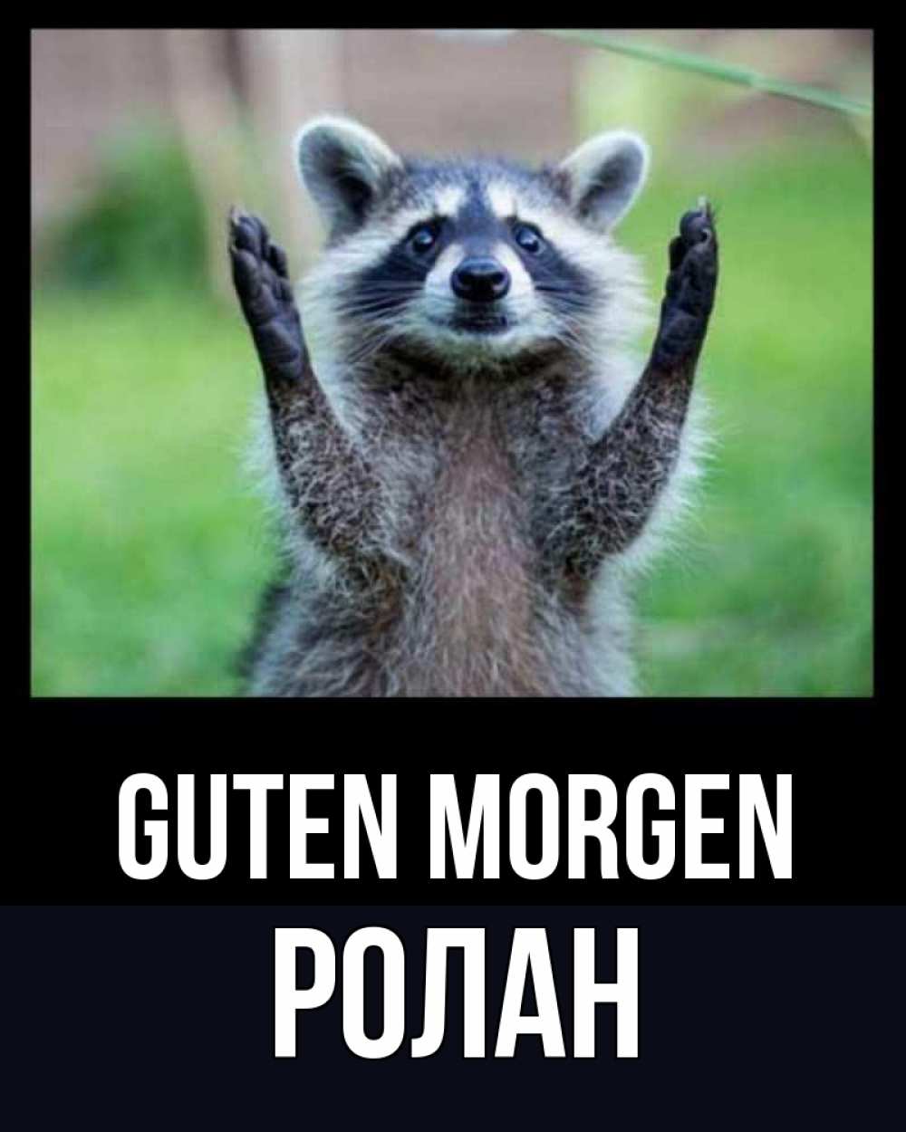 Открытка на каждый день с именем, Ролан Guten Morgen хорошее настроение утречком Прикольная открытка с пожеланием онлайн скачать бесплатно 