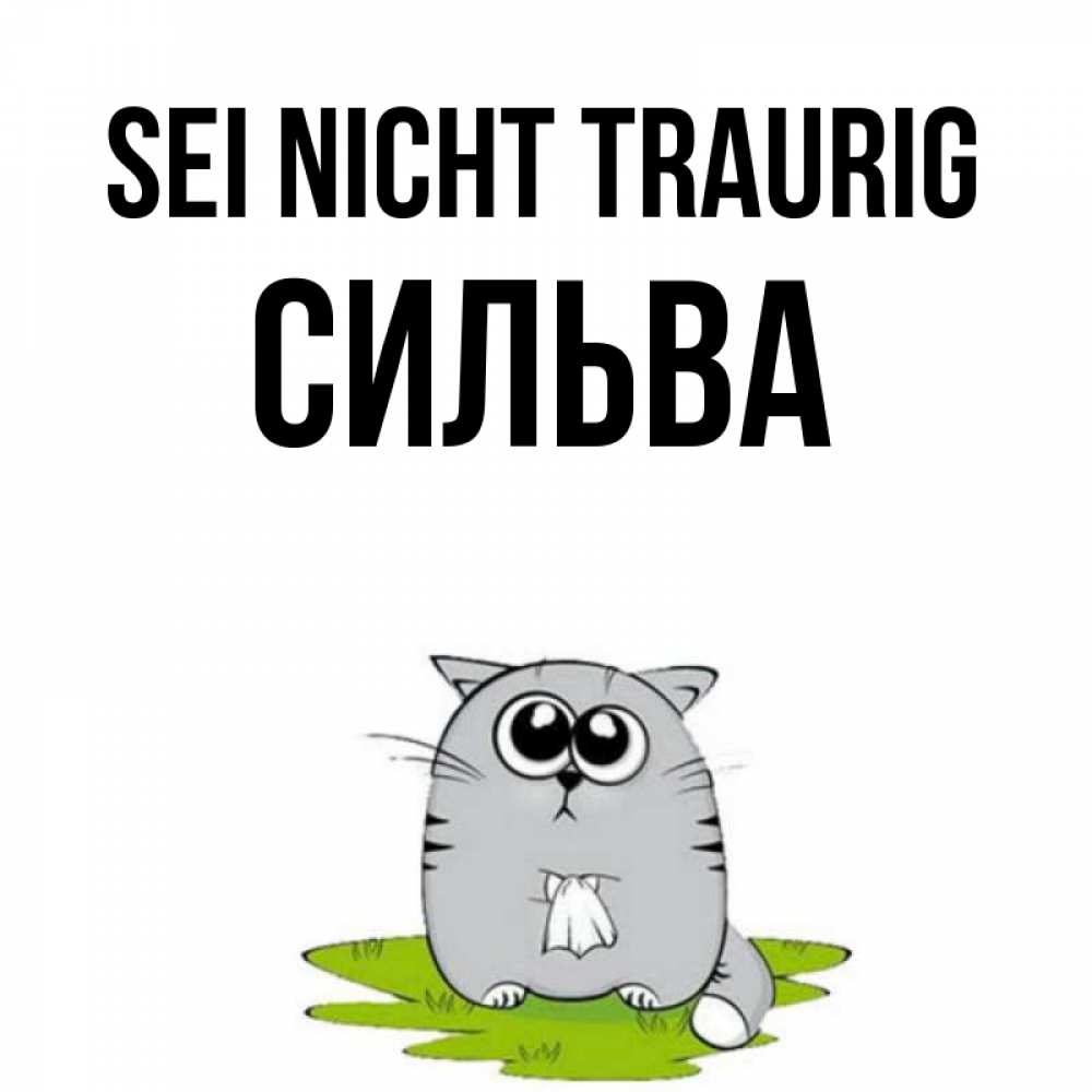 Открытка на каждый день с именем, Сильва Sei nicht traurig грустный котяра Прикольная открытка с пожеланием онлайн скачать бесплатно 