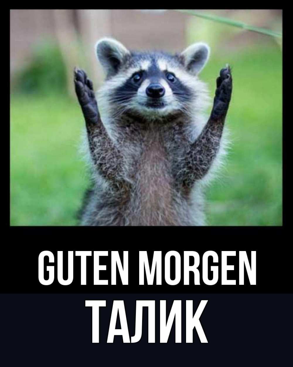Открытка на каждый день с именем, Талик Guten Morgen хорошее настроение утречком Прикольная открытка с пожеланием онлайн скачать бесплатно 