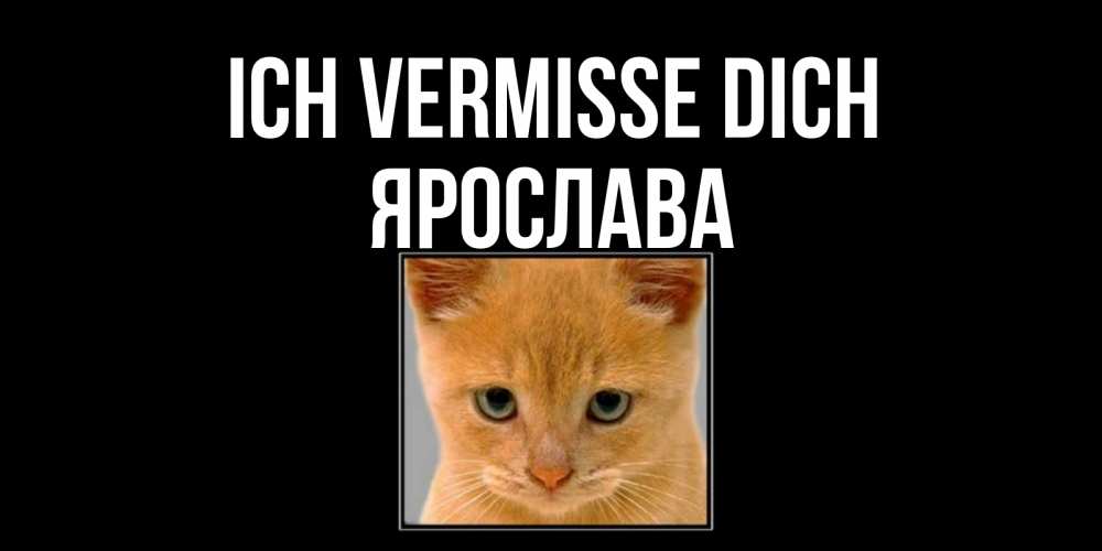Открытка на каждый день с именем, Ярослава Ich vermisse dich открытки рыжий котенок скучает по тебе Прикольная открытка с пожеланием онлайн скачать бесплатно 