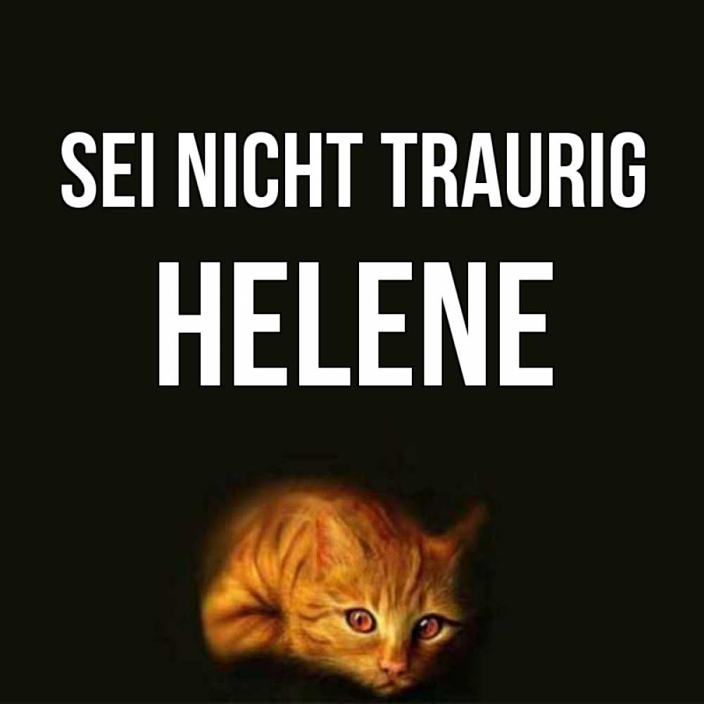Открытка на каждый день с именем, Helene Sei nicht traurig лежащий кот в темноте Прикольная открытка с пожеланием онлайн скачать бесплатно 