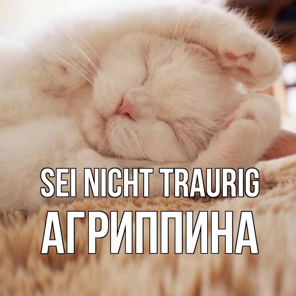 Открытка на каждый день с именем, Агриппина Sei nicht traurig белый кот Прикольная открытка с пожеланием онлайн скачать бесплатно 