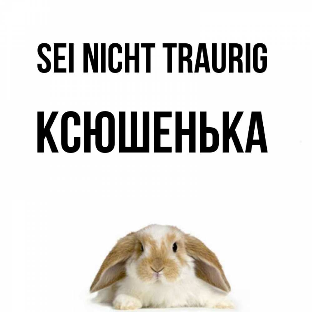 Открытка на каждый день с именем, Ксюшенька Sei nicht traurig коричнево белый заяц с большими ушками Прикольная открытка с пожеланием онлайн скачать бесплатно 