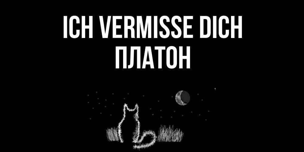 Открытка на каждый день с именем, Платон Ich vermisse dich кот Прикольная открытка с пожеланием онлайн скачать бесплатно 