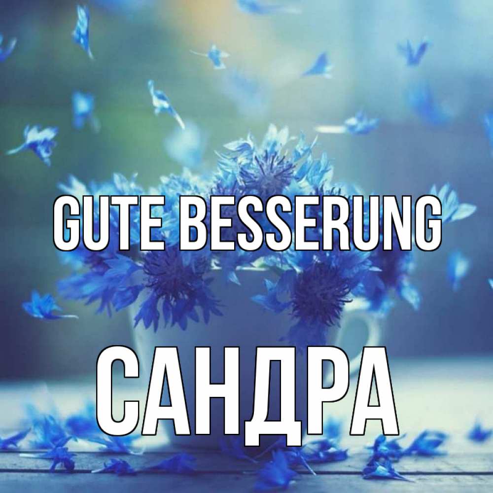 Открытка на каждый день с именем, Сандра Gute Besserung кружка с зельем и цветами Прикольная открытка с пожеланием онлайн скачать бесплатно 