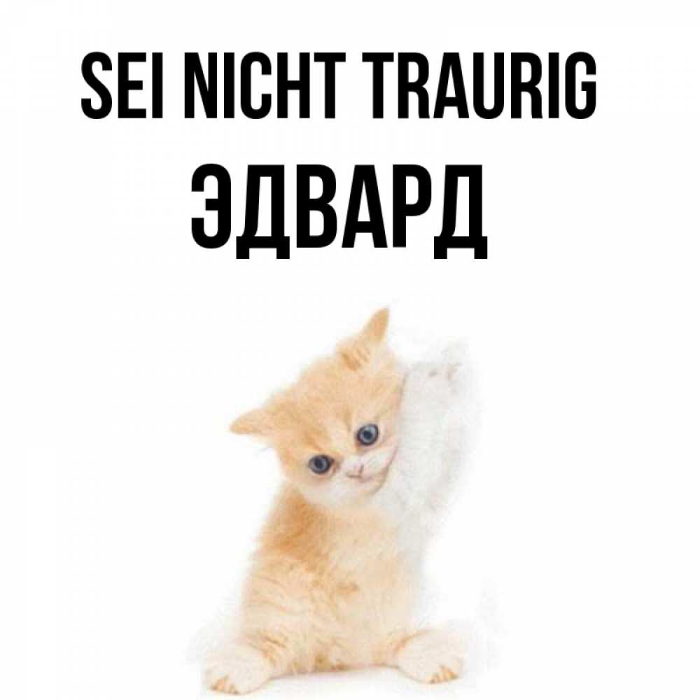 Открытка на каждый день с именем, Эдвард Sei nicht traurig просящий кот Прикольная открытка с пожеланием онлайн скачать бесплатно 
