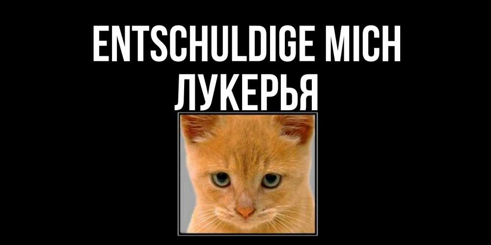 Открытка на каждый день с именем, Лукерья Entschuldige mich рыжий грустный кот просит прощения Прикольная открытка с пожеланием онлайн скачать бесплатно 