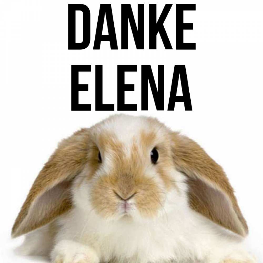 Открытка на каждый день с именем, Elena Danke коричнево белый заяц Прикольная открытка с пожеланием онлайн скачать бесплатно 