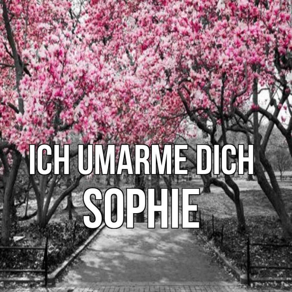 Открытка на каждый день с именем, Sophie Ich umarme dich обработанное фото Прикольная открытка с пожеланием онлайн скачать бесплатно 
