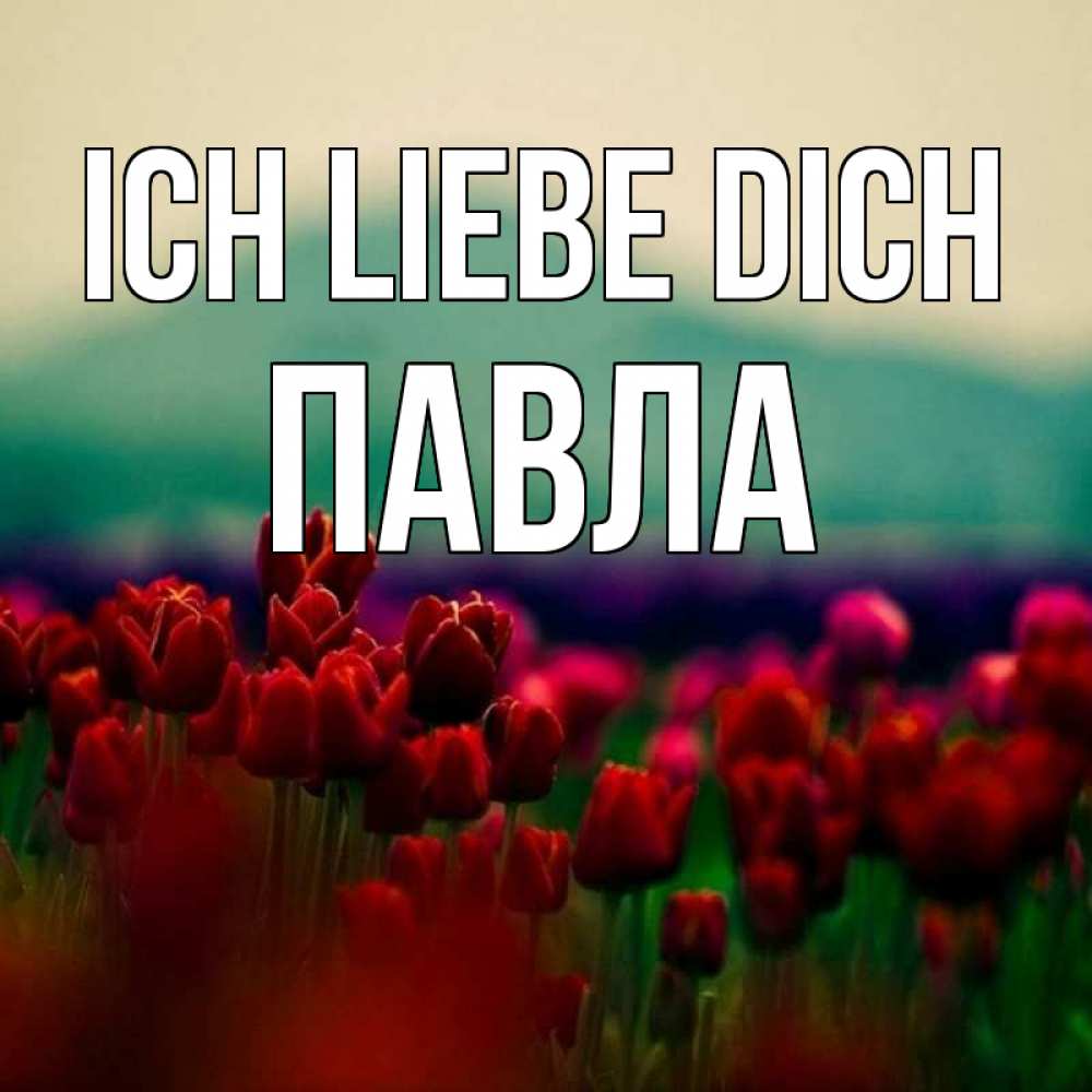 Открытка на каждый день с именем, Павла Ich liebe dich тюльпаны 4 Прикольная открытка с пожеланием онлайн скачать бесплатно 