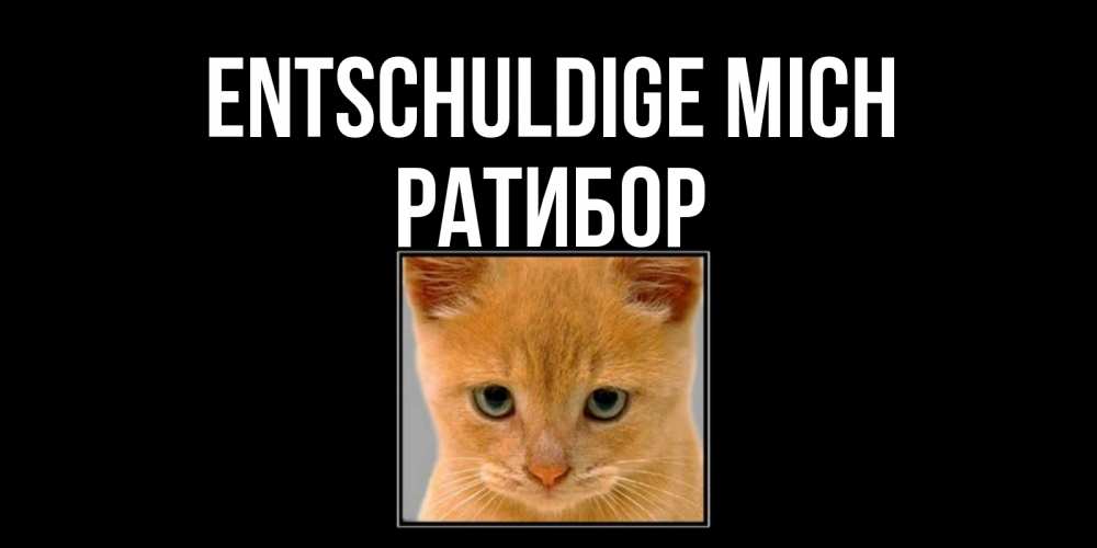 Открытка на каждый день с именем, Ратибор Entschuldige mich рыжий грустный кот просит прощения Прикольная открытка с пожеланием онлайн скачать бесплатно 