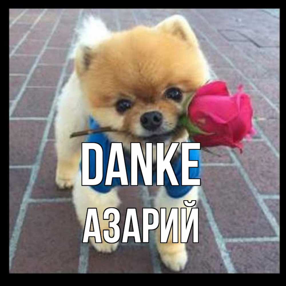 Открытка на каждый день с именем, Азарий Danke спасибо и дарю тебе цветок Прикольная открытка с пожеланием онлайн скачать бесплатно 