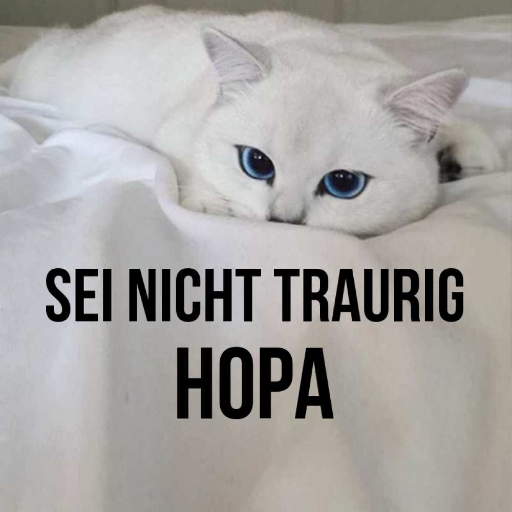 Открытка на каждый день с именем, Нора Sei nicht traurig Голубоглазая кошка Прикольная открытка с пожеланием онлайн скачать бесплатно 