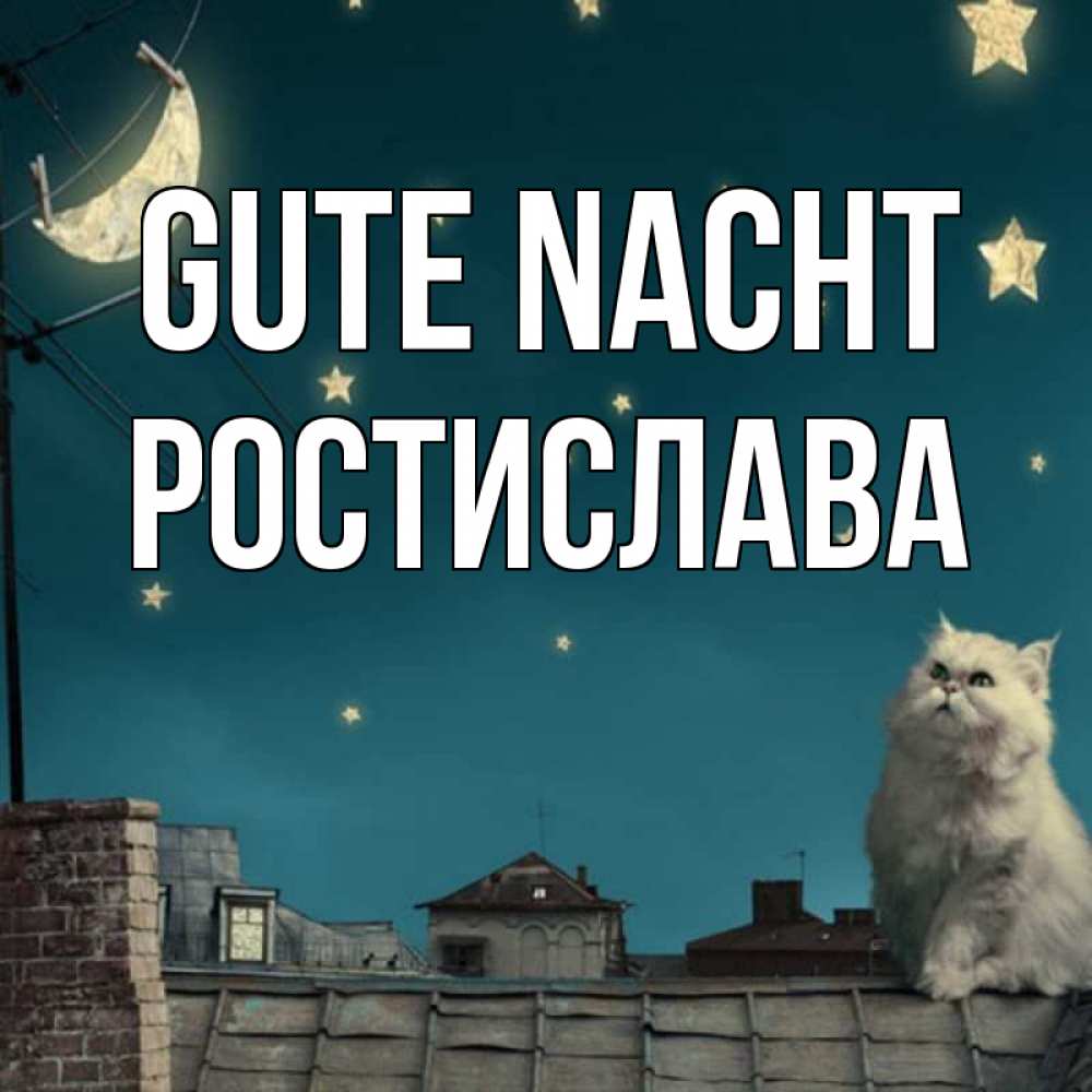 Открытка на каждый день с именем, Ростислава Gute Nacht белый кот сидит на крыше Прикольная открытка с пожеланием онлайн скачать бесплатно 