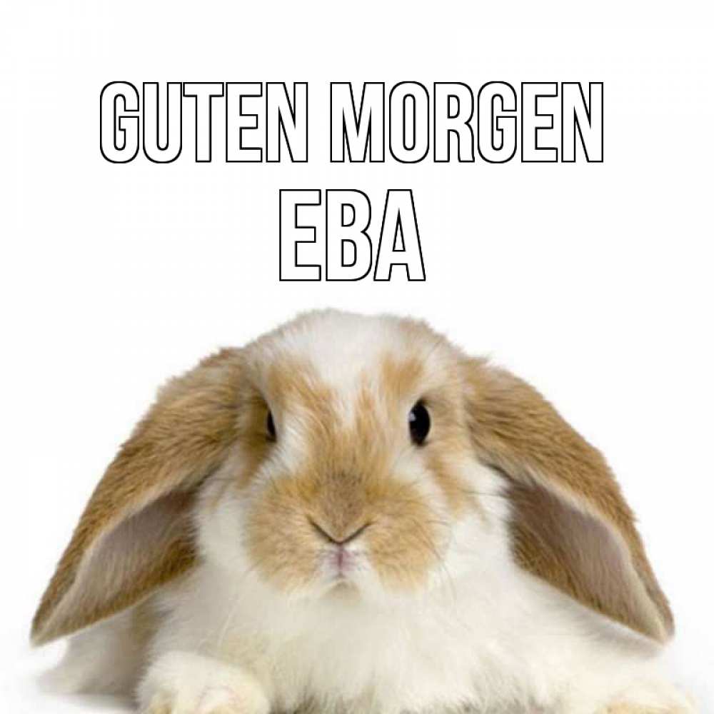 Открытка на каждый день с именем, Ева Guten Morgen прикольные открытки на каждый день Прикольная открытка с пожеланием онлайн скачать бесплатно 