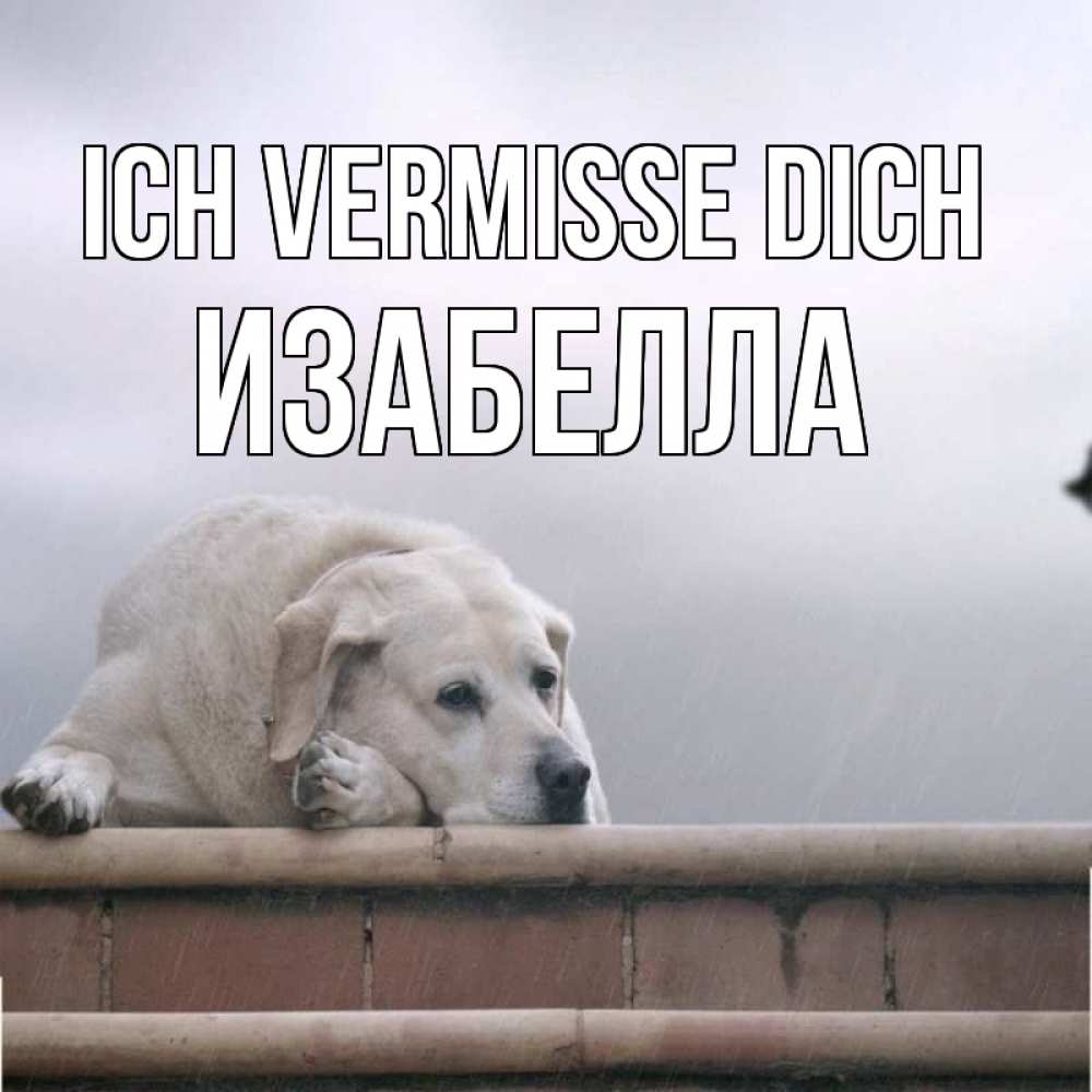Открытка на каждый день с именем, Изабелла Ich vermisse dich ждет Прикольная открытка с пожеланием онлайн скачать бесплатно 
