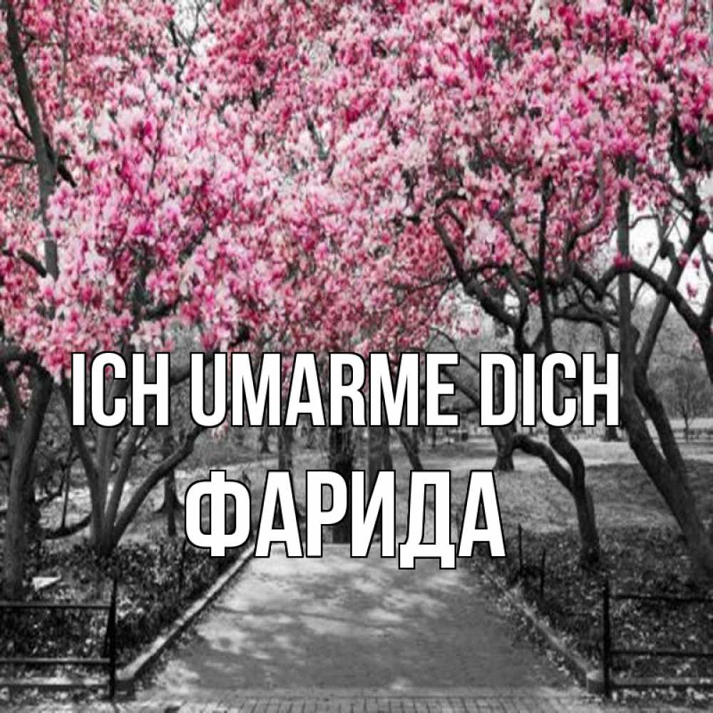 Открытка на каждый день с именем, Фарида Ich umarme dich обработанное фото Прикольная открытка с пожеланием онлайн скачать бесплатно 