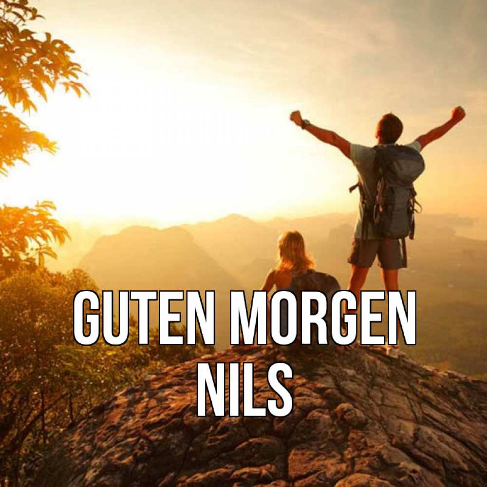 Открытка на каждый день с именем, Nils Guten Morgen утро в горах Прикольная открытка с пожеланием онлайн скачать бесплатно 