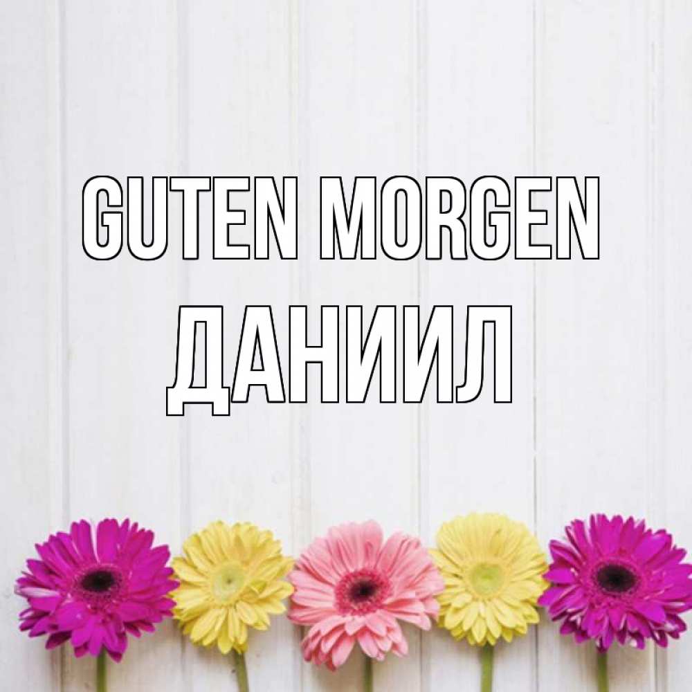 Открытка на каждый день с именем, Даниил Guten Morgen красный желтый и розовый цветок Прикольная открытка с пожеланием онлайн скачать бесплатно 