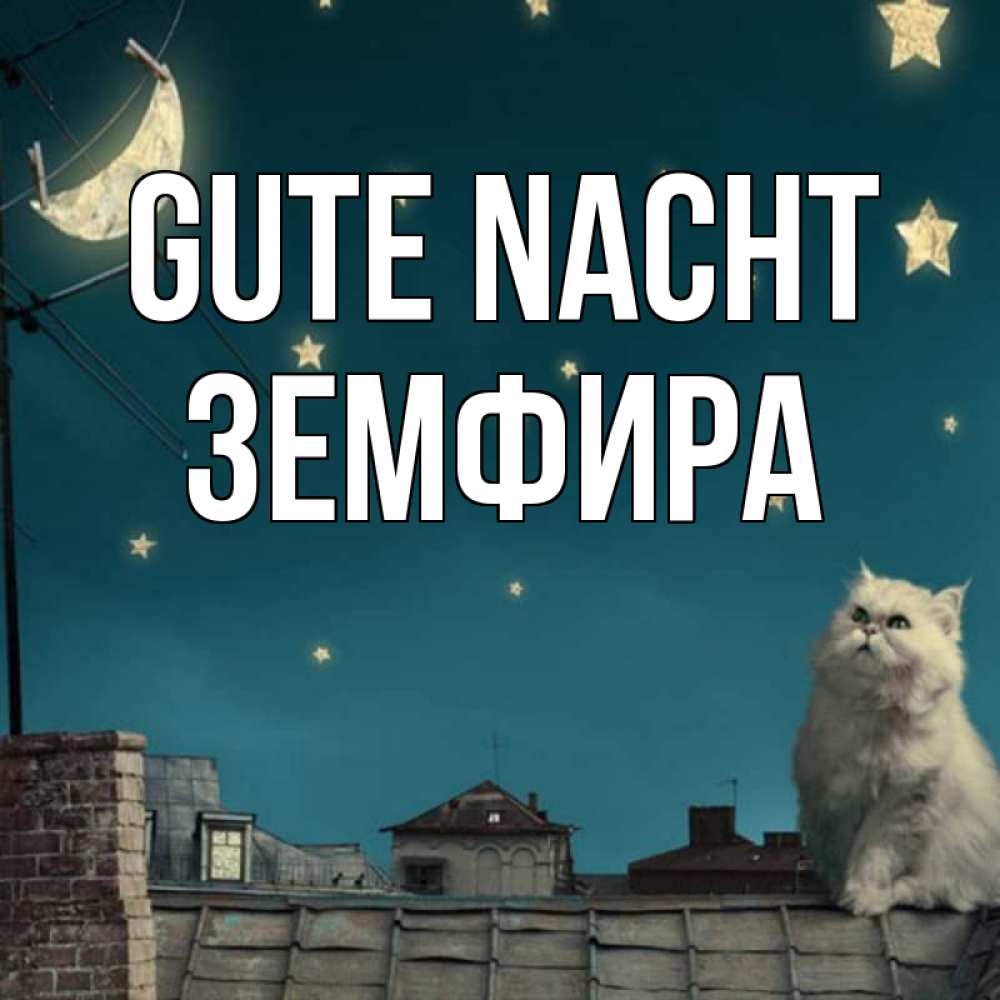 Открытка на каждый день с именем, Земфира Gute Nacht белый кот сидит на крыше Прикольная открытка с пожеланием онлайн скачать бесплатно 