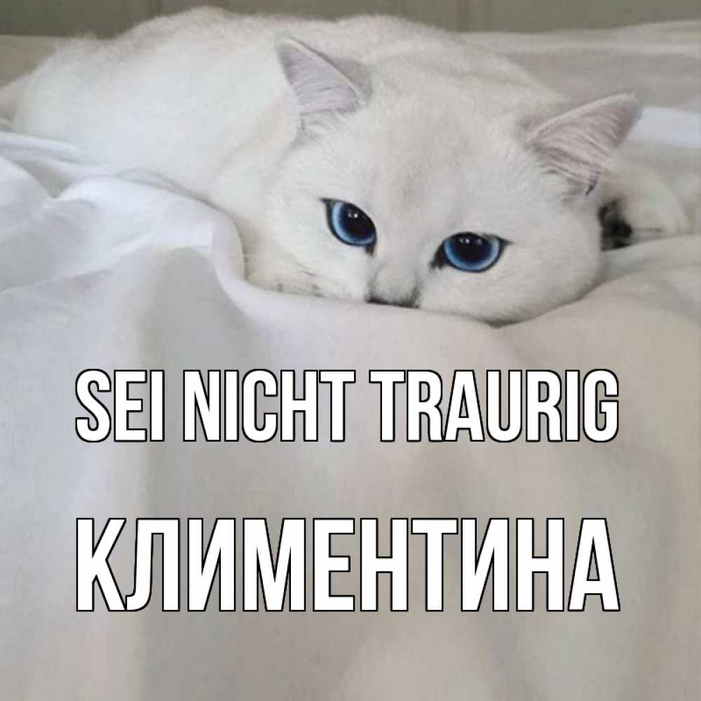 Открытка на каждый день с именем, Климентина Sei nicht traurig белый кот с голубыми глазами на белоснежной кровати Прикольная открытка с пожеланием онлайн скачать бесплатно 