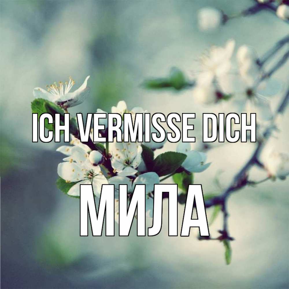Открытка на каждый день с именем, Мила Ich vermisse dich весна Прикольная открытка с пожеланием онлайн скачать бесплатно 