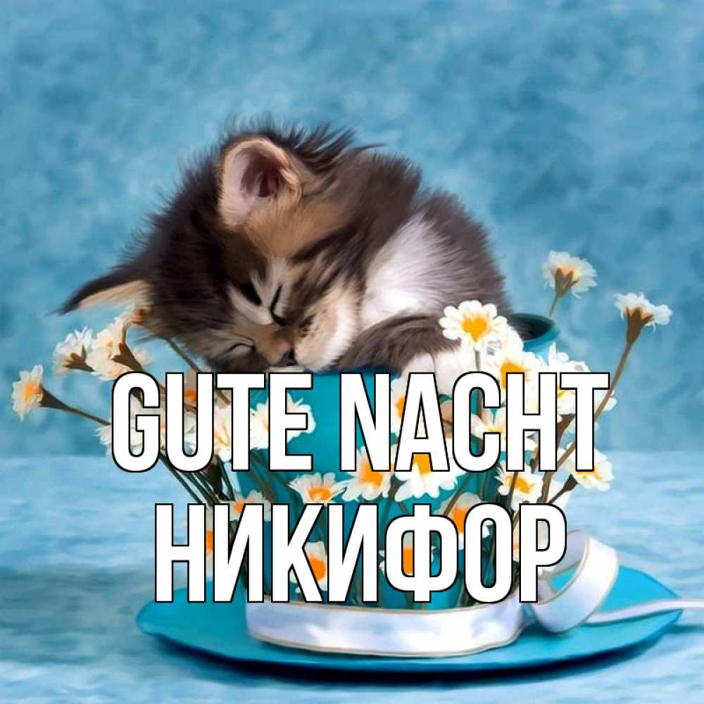 Открытка на каждый день с именем, Никифор Gute Nacht котенок спит в кружке с блюдцем Прикольная открытка с пожеланием онлайн скачать бесплатно 