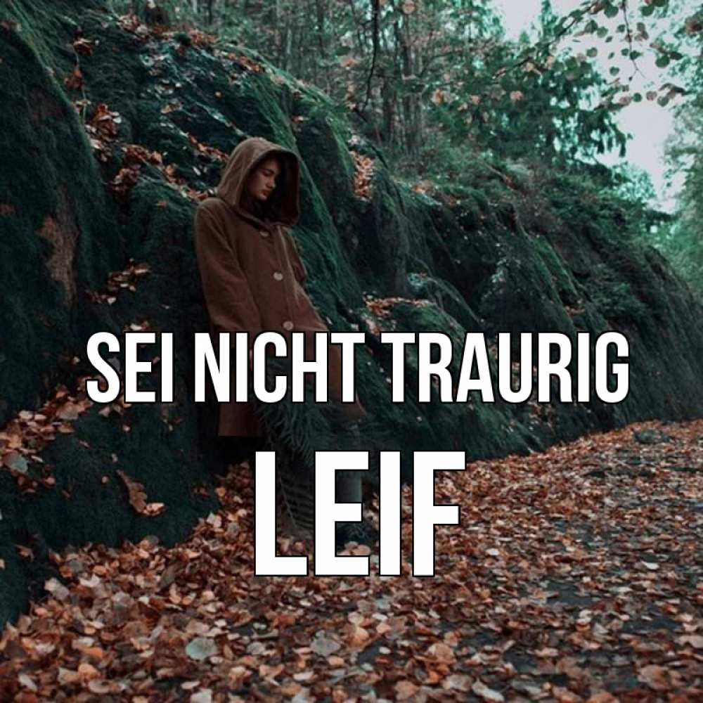 Открытка на каждый день с именем, Leif Sei nicht traurig осенний лес Прикольная открытка с пожеланием онлайн скачать бесплатно 