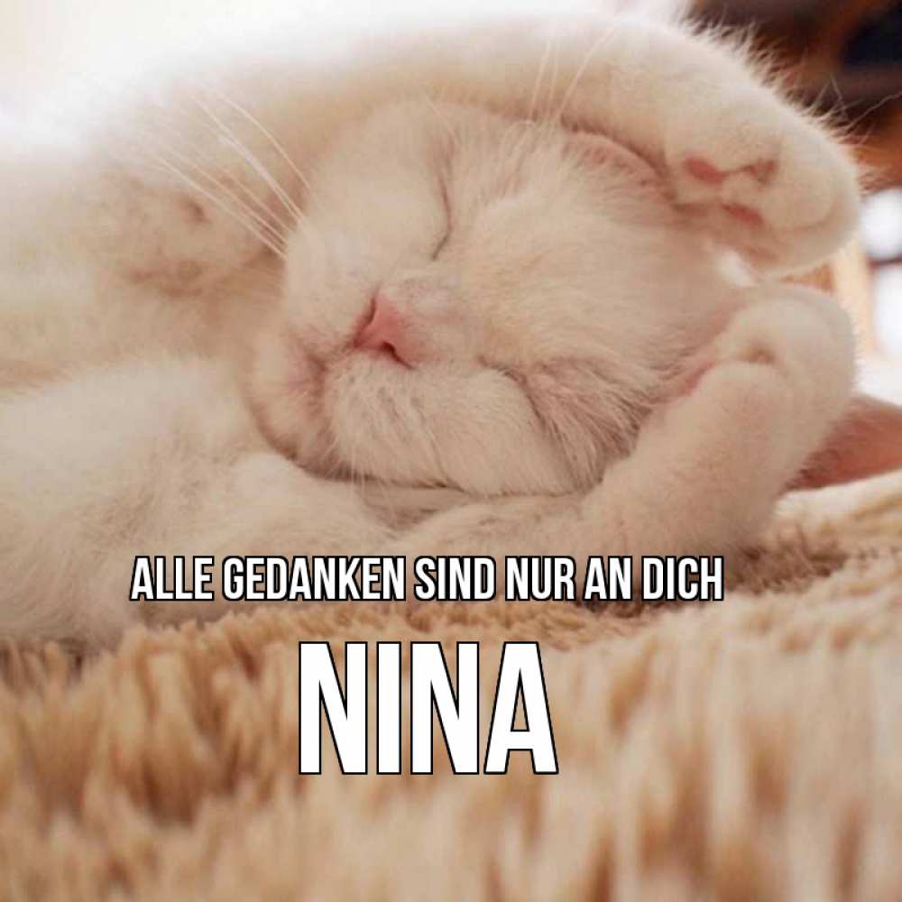 Открытка на каждый день с именем, Nina Alle Gedanken sind nur an dich для любимой девушки милота Прикольная открытка с пожеланием онлайн скачать бесплатно 