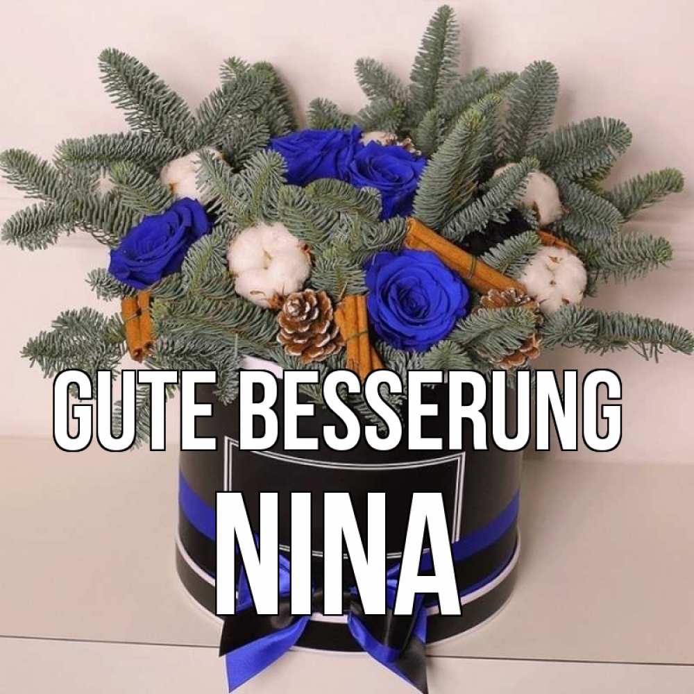 Открытка на каждый день с именем, Nina Gute Besserung короче кто то загрузил эти шишки Прикольная открытка с пожеланием онлайн скачать бесплатно 