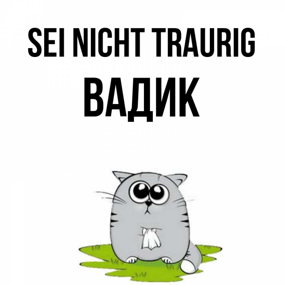 Открытка на каждый день с именем, Вадик Sei nicht traurig грустный котяра Прикольная открытка с пожеланием онлайн скачать бесплатно 
