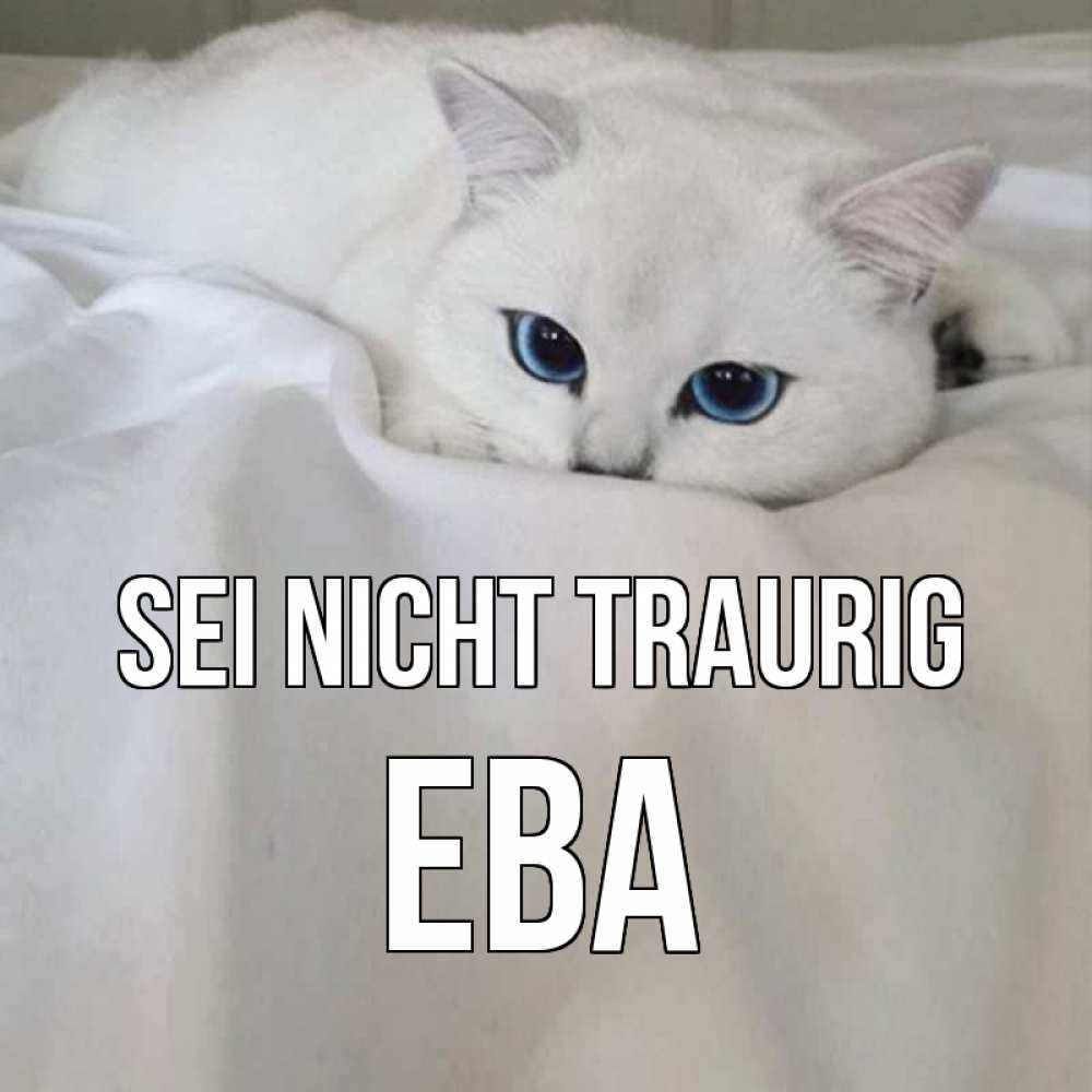 Открытка на каждый день с именем, Ева Sei nicht traurig белый кот с голубыми глазами на белоснежной кровати Прикольная открытка с пожеланием онлайн скачать бесплатно 