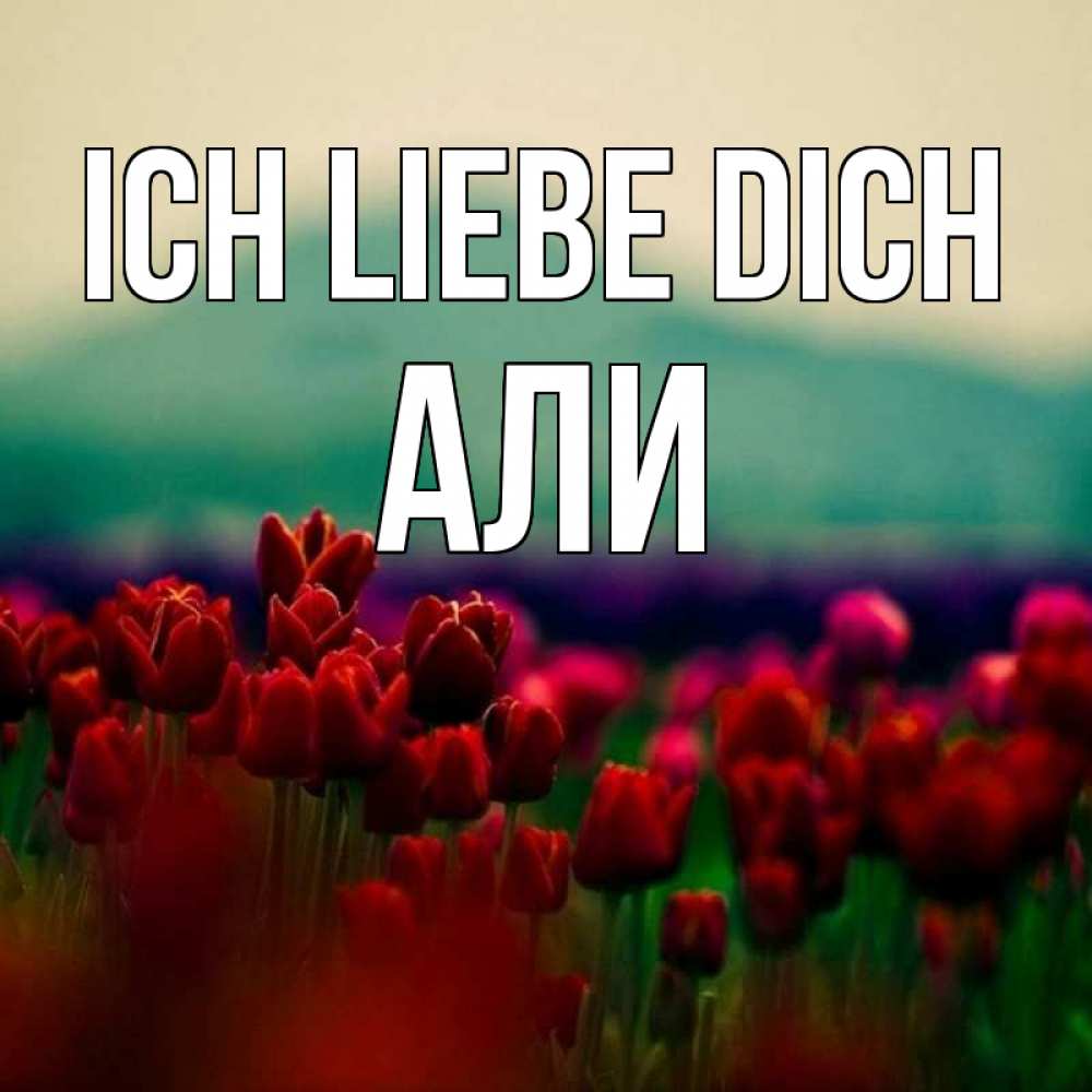 Открытка на каждый день с именем, Али Ich liebe dich тюльпаны 4 Прикольная открытка с пожеланием онлайн скачать бесплатно 