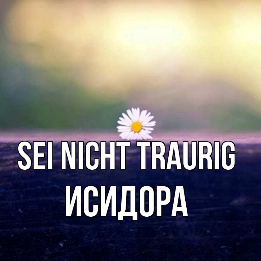 Открытка на каждый день с именем, Исидора Sei nicht traurig красота Прикольная открытка с пожеланием онлайн скачать бесплатно 