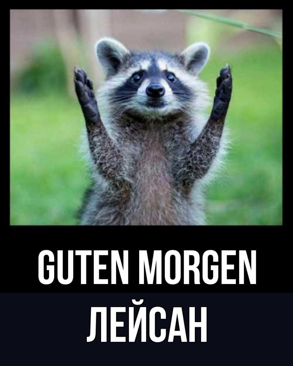 Открытка на каждый день с именем, Лейсан Guten Morgen хорошее настроение утречком Прикольная открытка с пожеланием онлайн скачать бесплатно 
