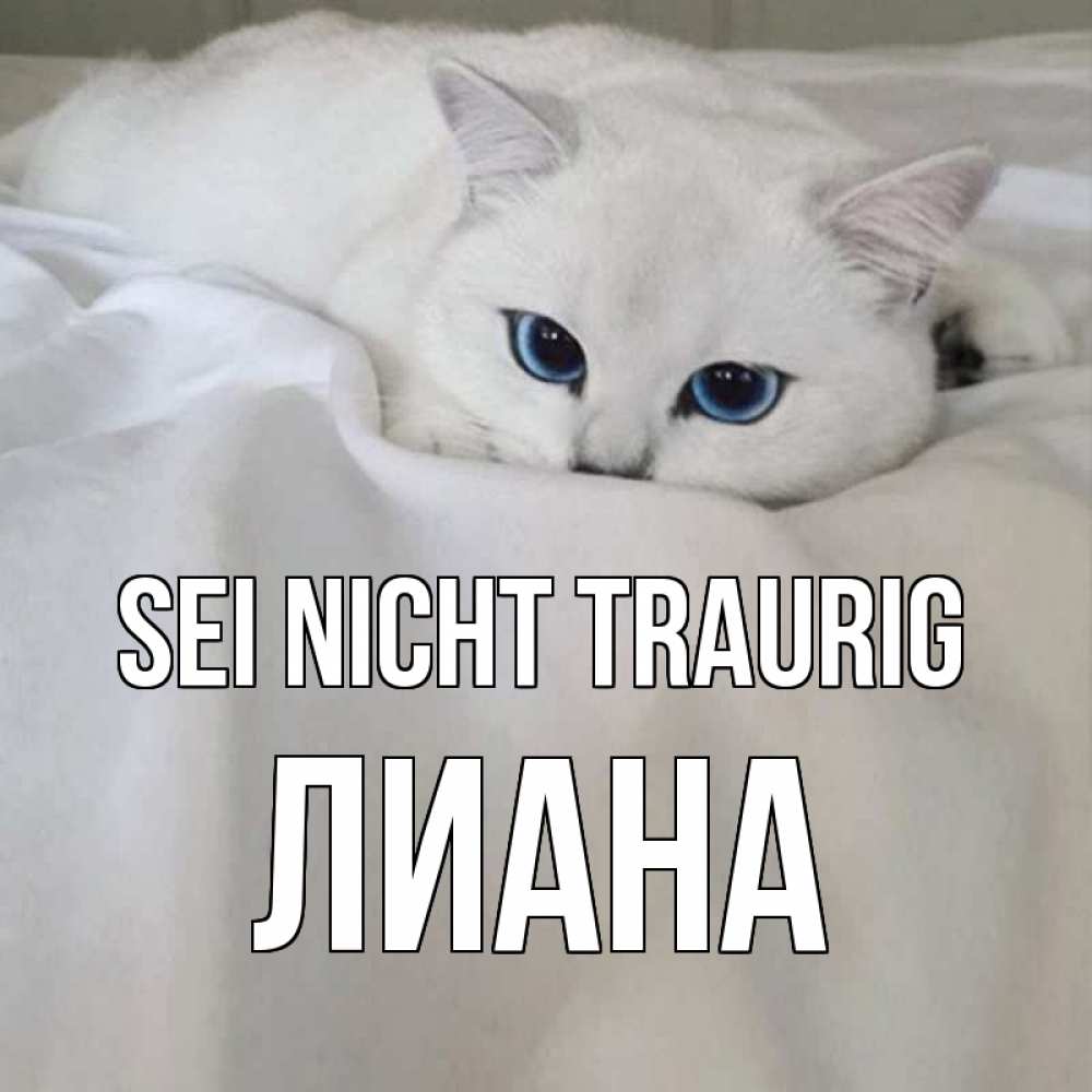 Открытка на каждый день с именем, Лиана Sei nicht traurig белый кот с голубыми глазами на белоснежной кровати Прикольная открытка с пожеланием онлайн скачать бесплатно 