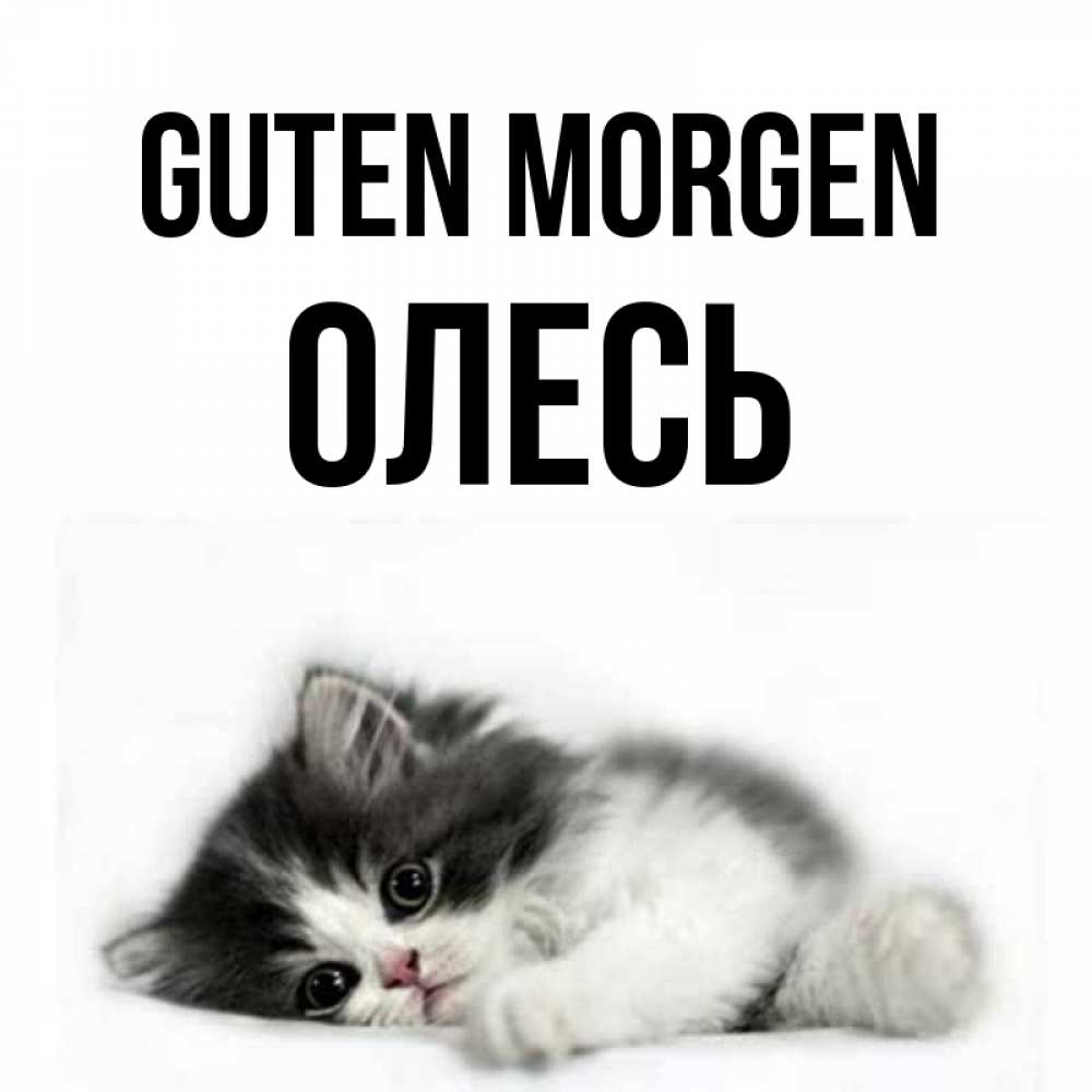 Открытка на каждый день с именем, Олесь Guten Morgen кот лапки Прикольная открытка с пожеланием онлайн скачать бесплатно 