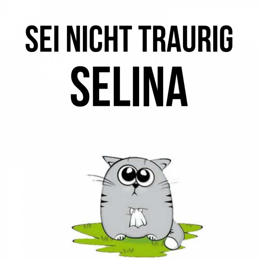 Открытка на каждый день с именем, Selina Sei nicht traurig грустный котяра Прикольная открытка с пожеланием онлайн скачать бесплатно 