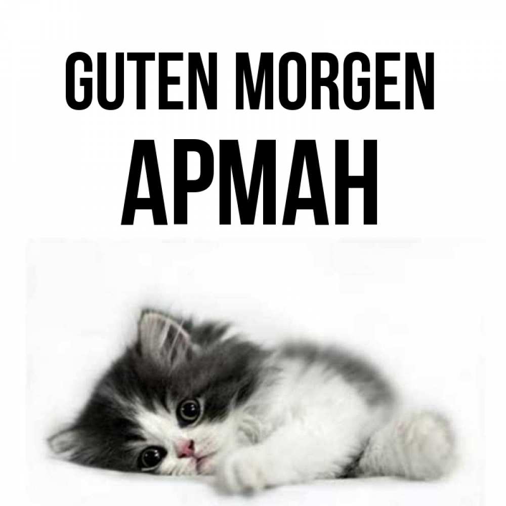 Открытка на каждый день с именем, Арман Guten Morgen кот лапки Прикольная открытка с пожеланием онлайн скачать бесплатно 