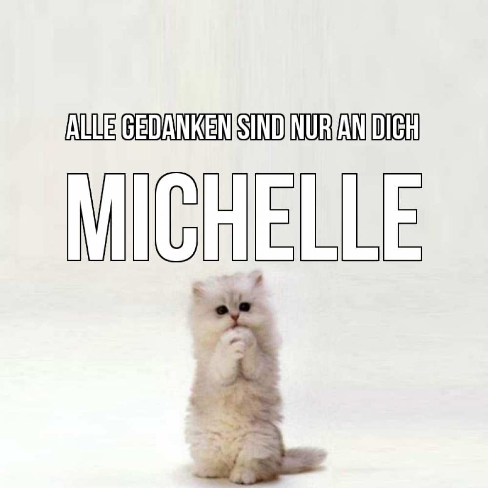 Открытка на каждый день с именем, Michelle Alle Gedanken sind nur an dich кот стоит на задних лапах Прикольная открытка с пожеланием онлайн скачать бесплатно 