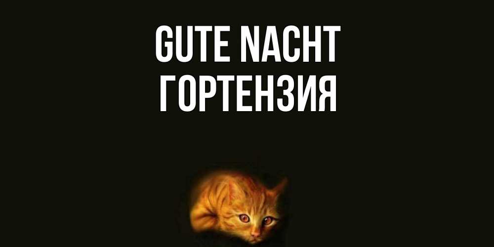 Открытка на каждый день с именем, Гортензия Gute Nacht кот Прикольная открытка с пожеланием онлайн скачать бесплатно 
