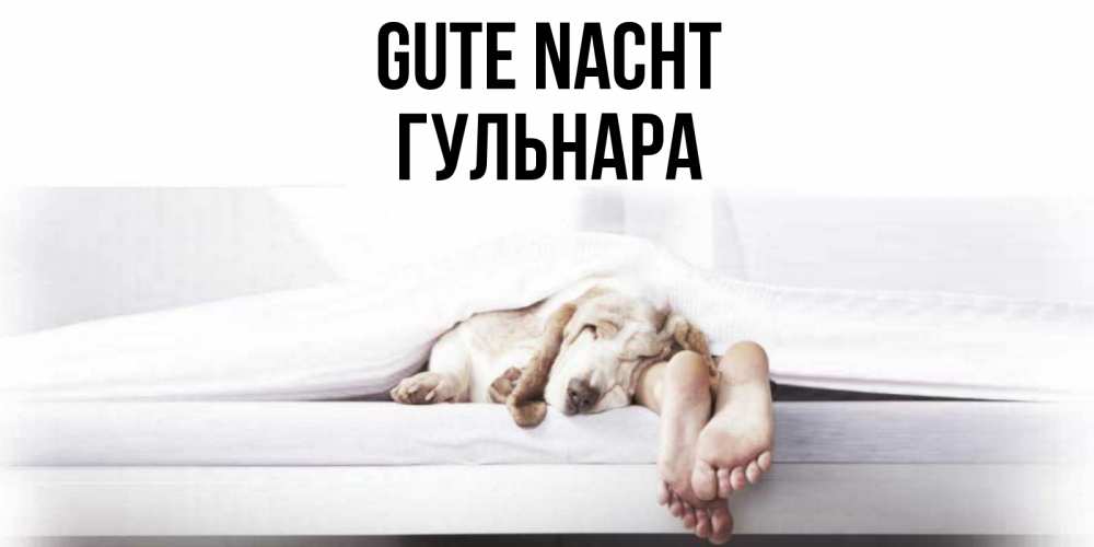 Открытка на каждый день с именем, Гульнара Gute Nacht кровать с собакой пожелание сладких снов и спокойной ночи Прикольная открытка с пожеланием онлайн скачать бесплатно 