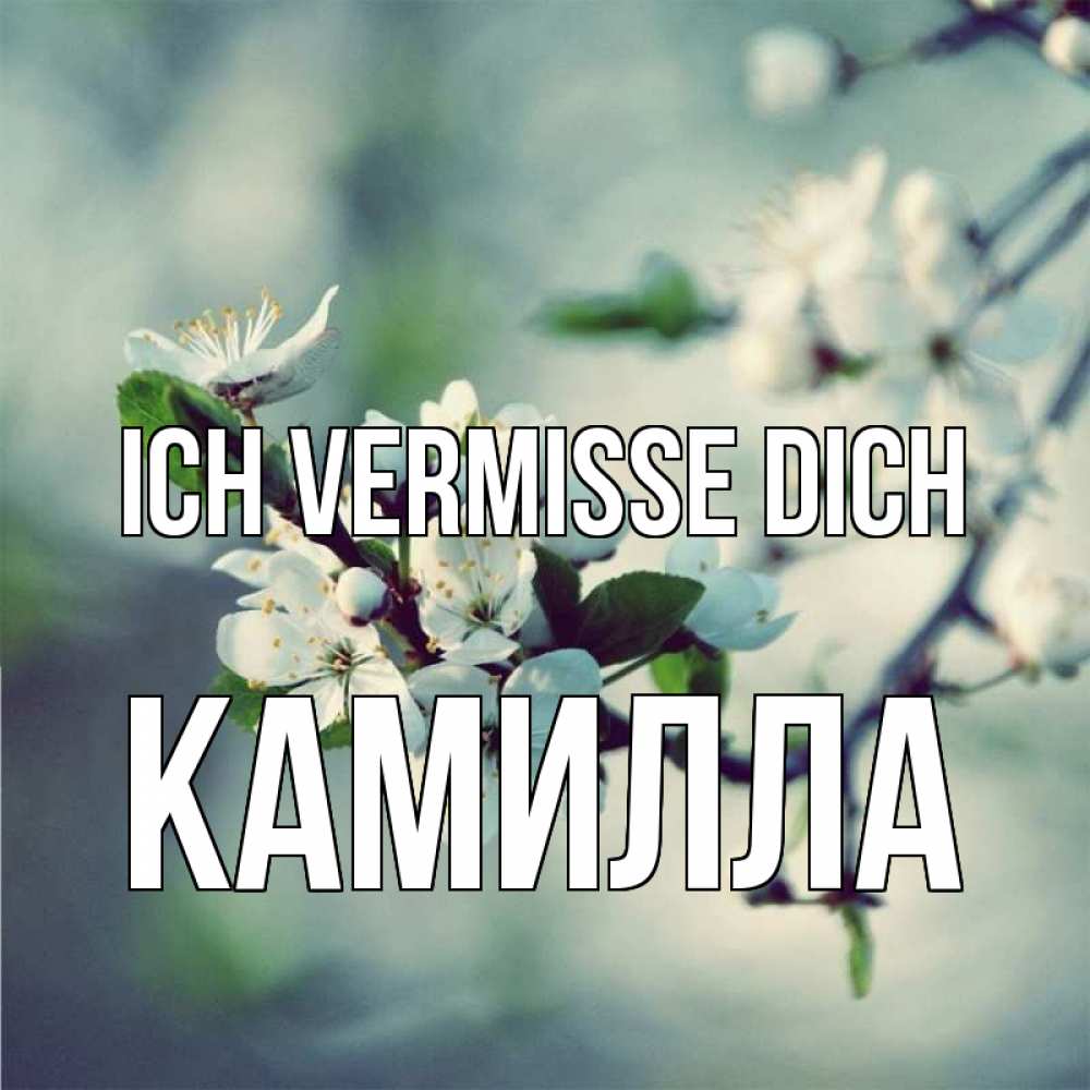 Открытка на каждый день с именем, Камилла Ich vermisse dich весна Прикольная открытка с пожеланием онлайн скачать бесплатно 