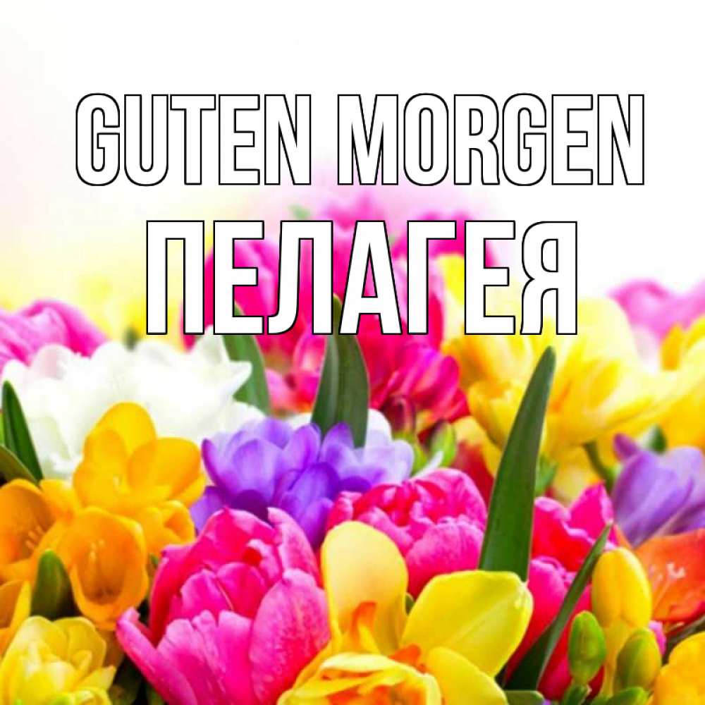 Открытка на каждый день с именем, Пелагея Guten Morgen создать открытку со свое подписью Прикольная открытка с пожеланием онлайн скачать бесплатно 
