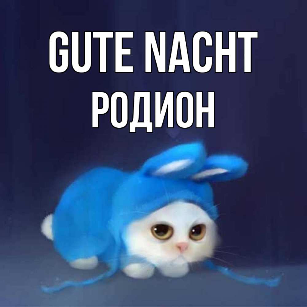 Открытка на каждый день с именем, Родион Gute Nacht кот в голубом костюме кролика с ушками Прикольная открытка с пожеланием онлайн скачать бесплатно 
